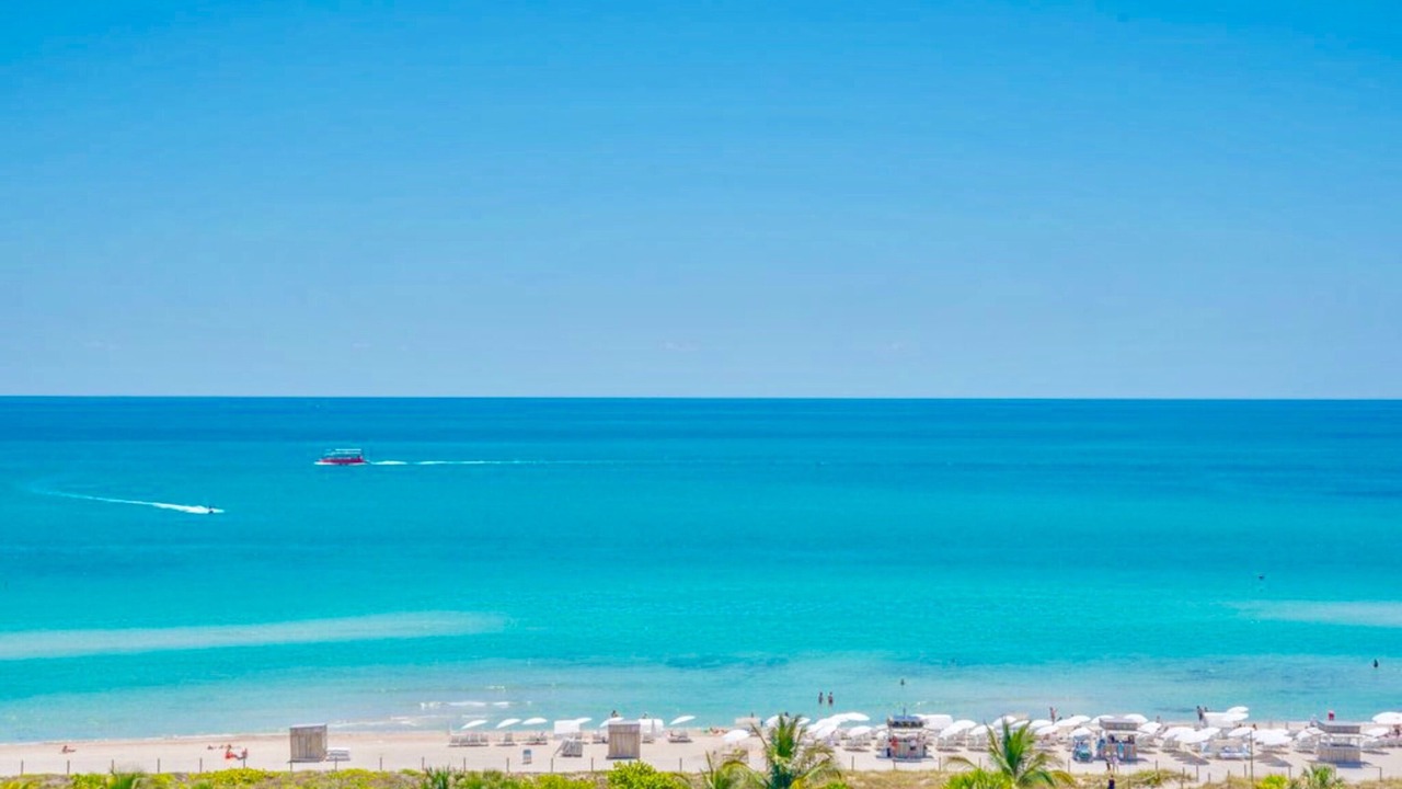 Photo of Others in South Beach