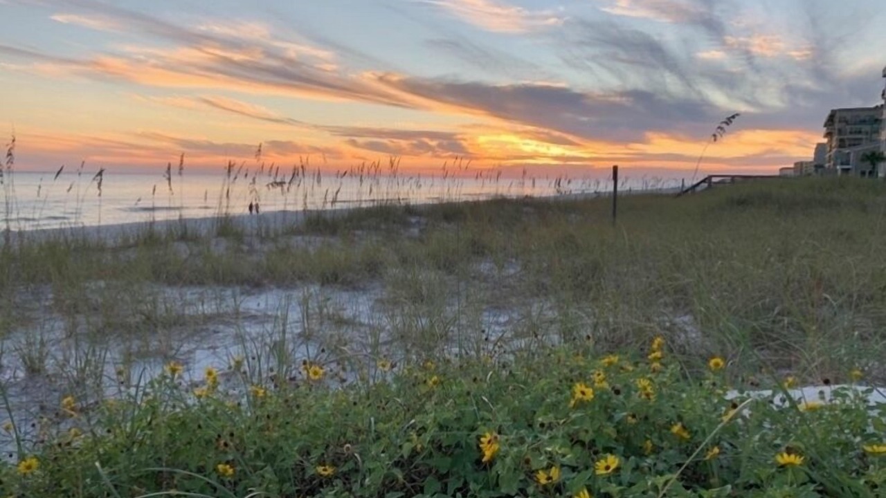 Photo of Outdoor in Fort Walton Beach