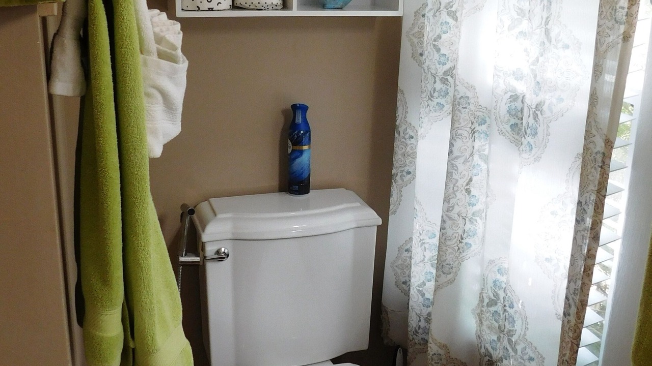 Photo of Bathroom in Old Seminole Heights