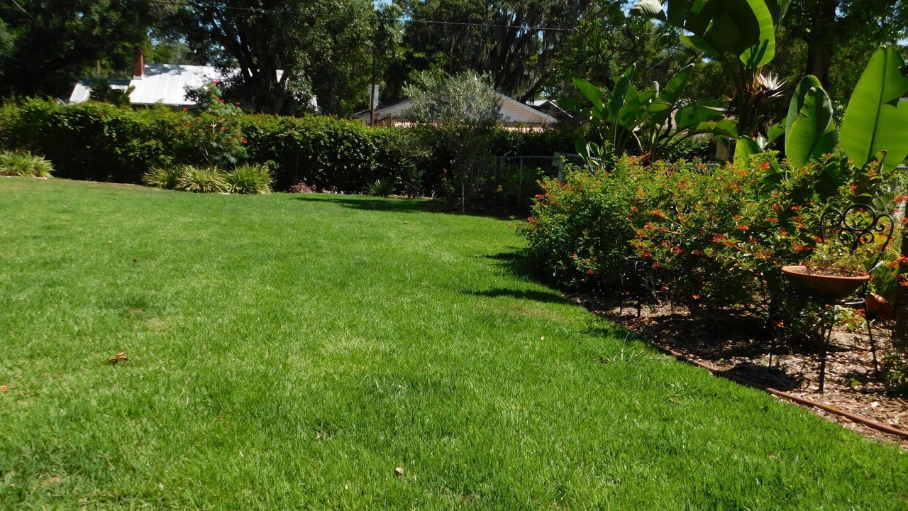 Photo of Outdoor in Old Seminole Heights