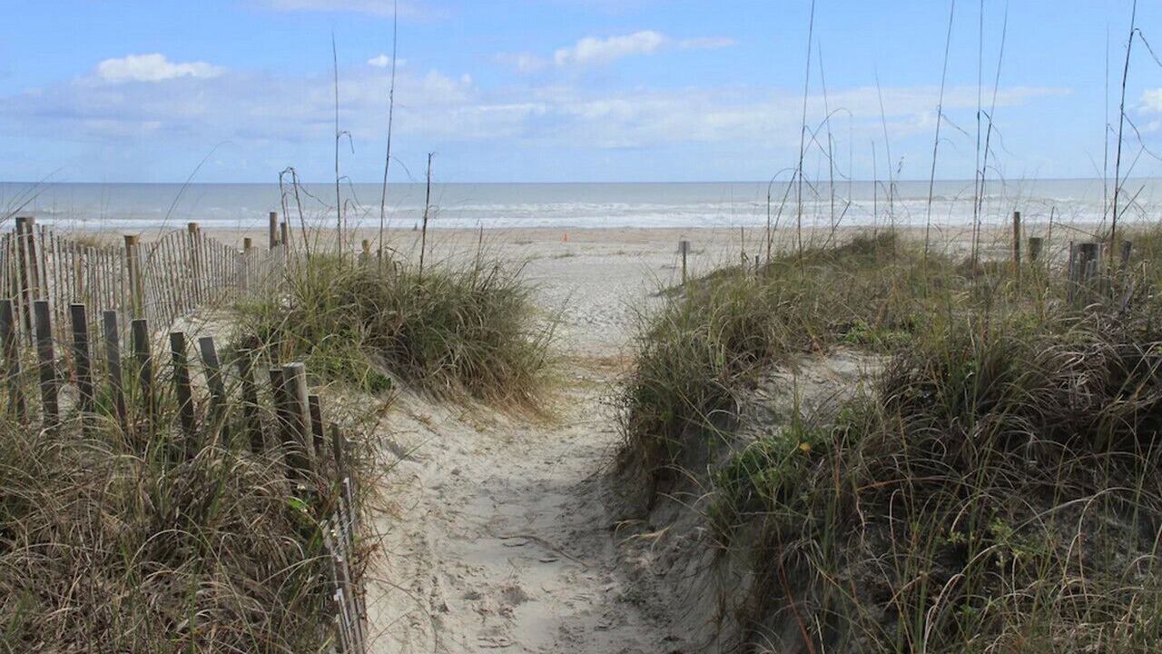 Photo of Others in St. Augustine Beach