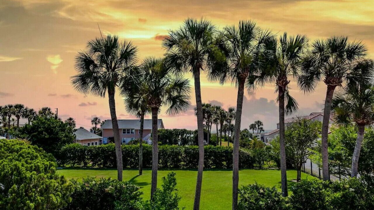 Photo of Outdoor in St. Augustine Beach