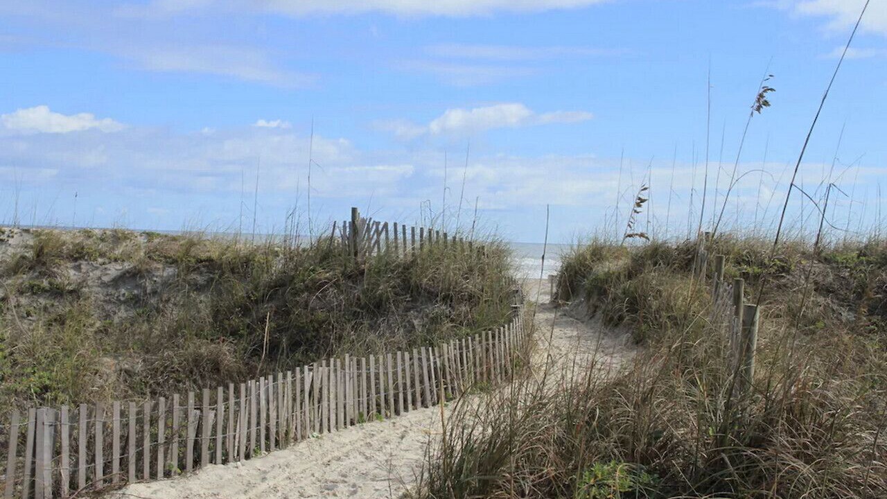 Photo of Others in St. Augustine Beach