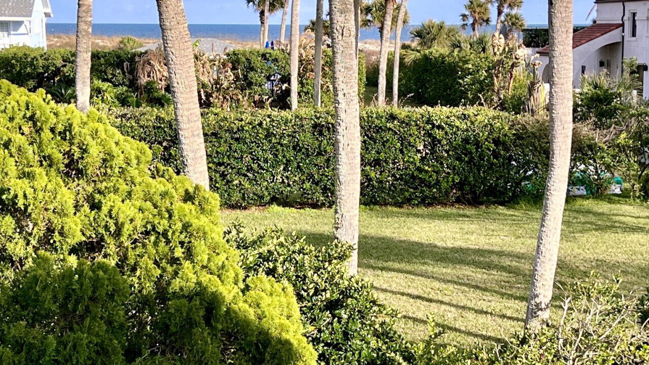 Photo of Outdoor in St. Augustine Beach