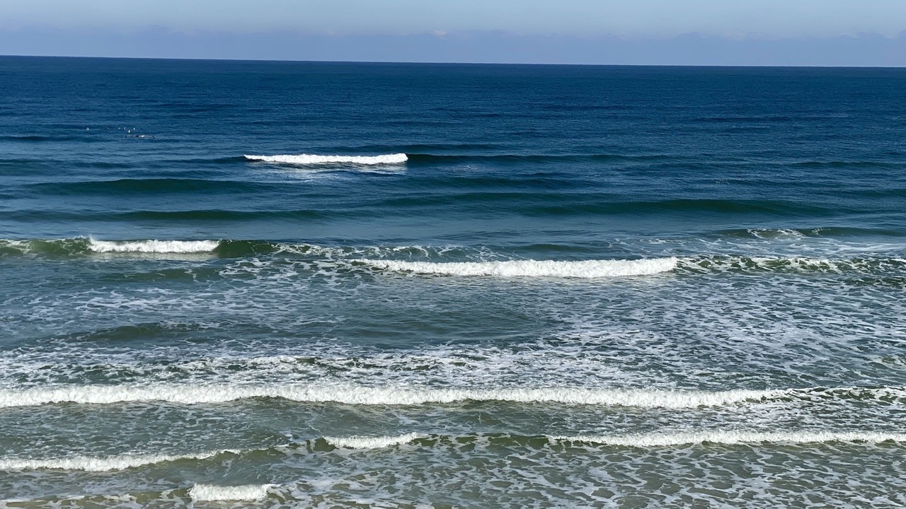 Photo of Others in Daytona Beach Shores