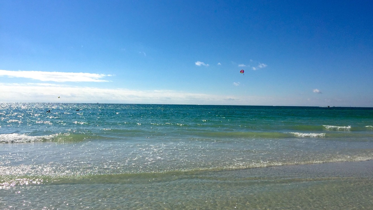Photo of Others in Siesta Key
