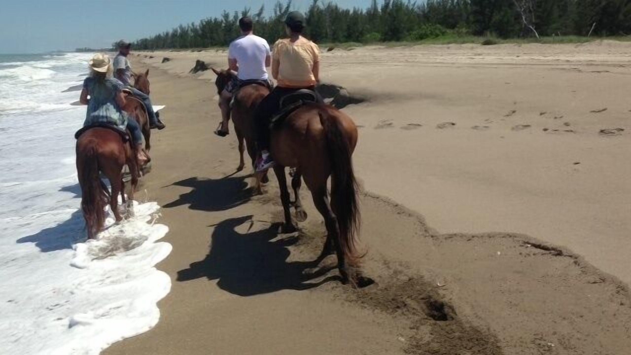 Photo of Others in Hutchinson Island South