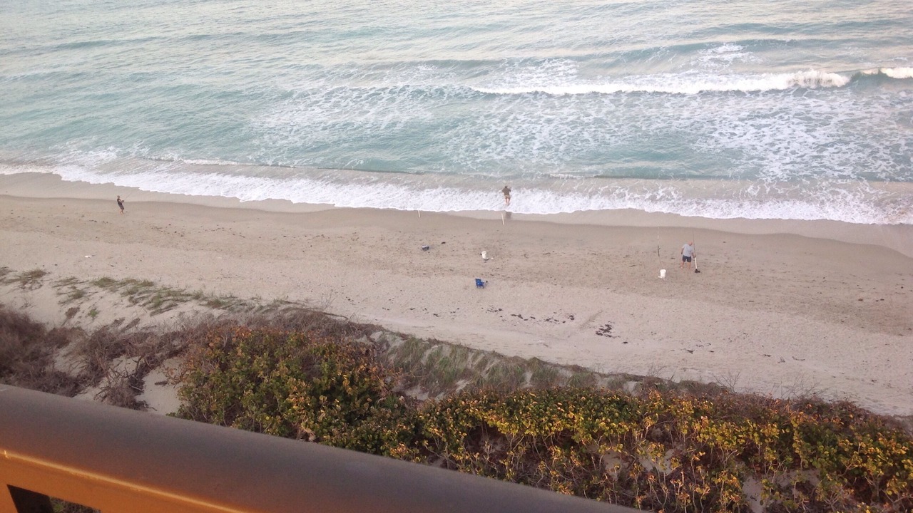 Photo of Others in Hutchinson Island South