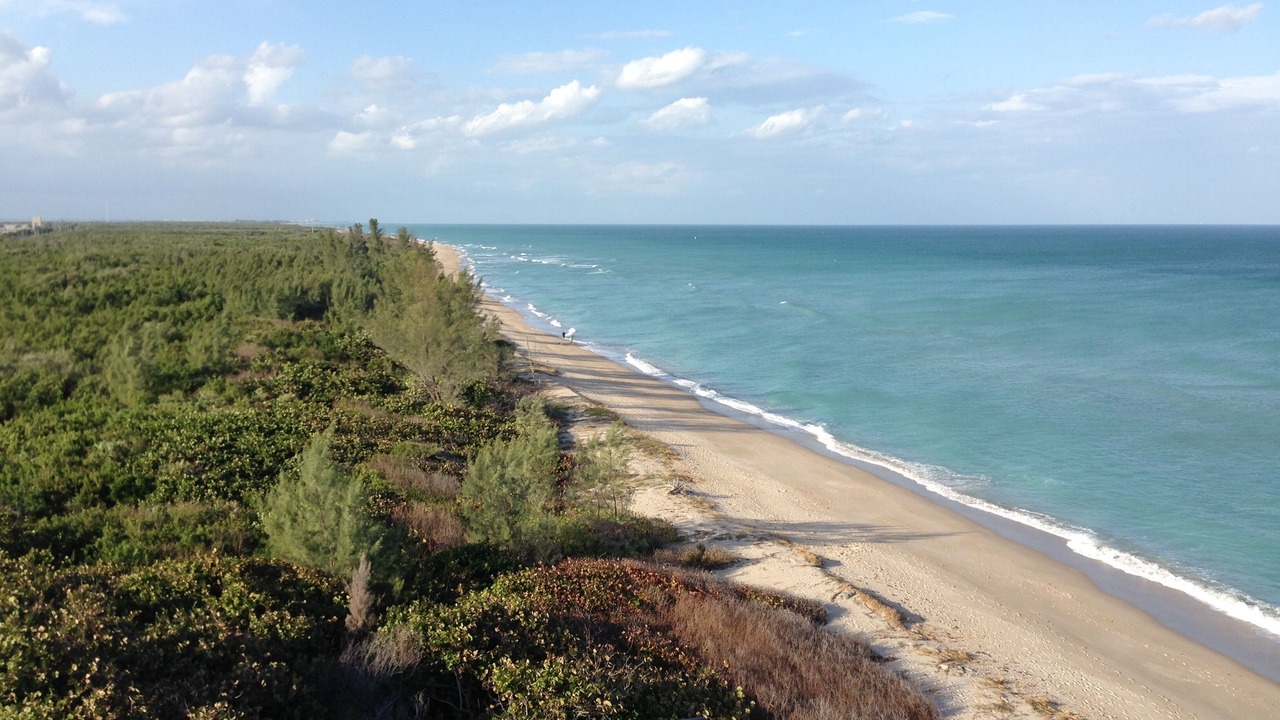 Photo of Others in Hutchinson Island South