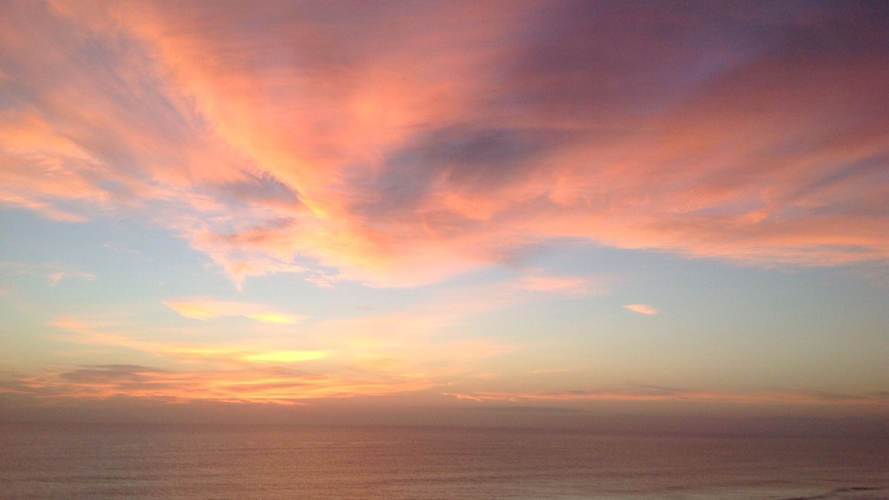 Photo of Others in Hutchinson Island South