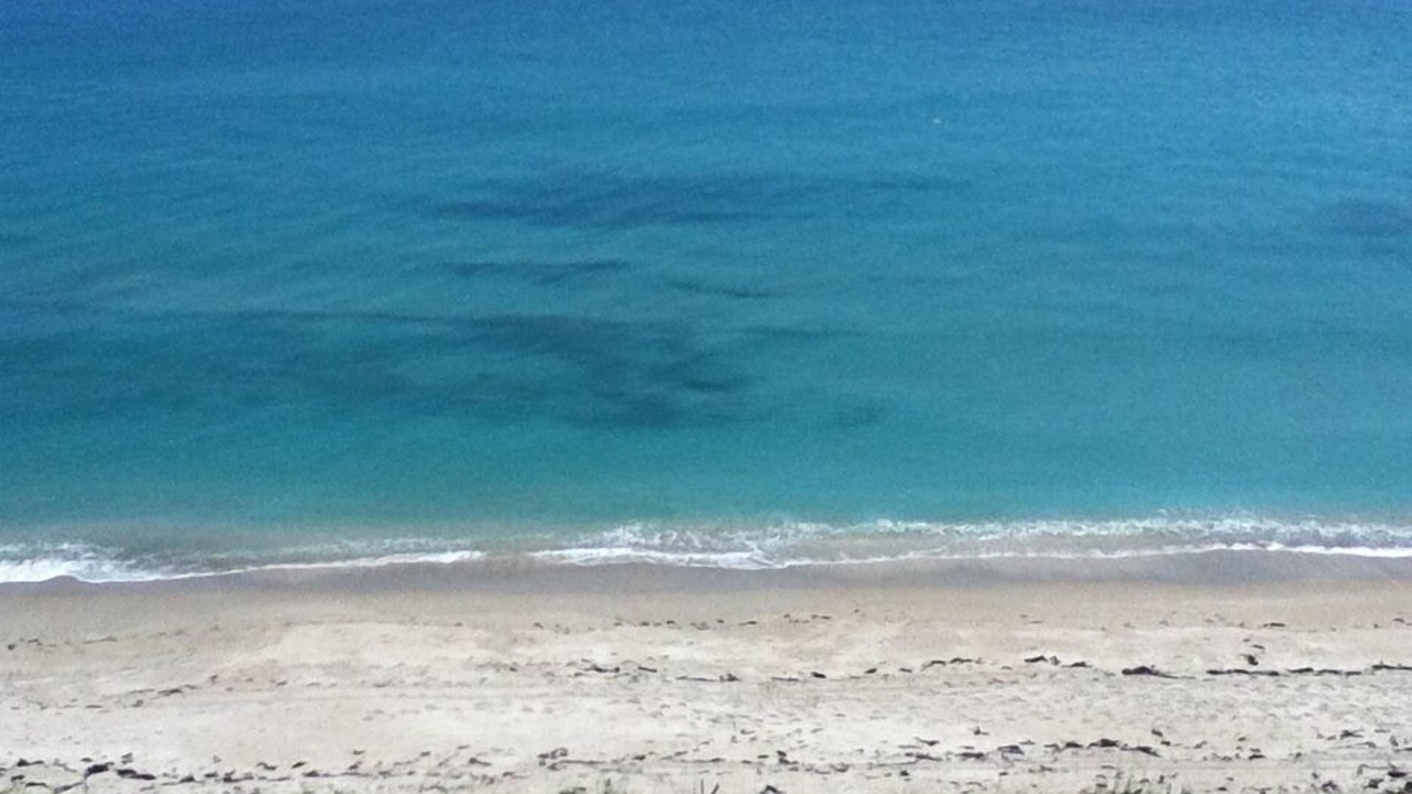 Photo of Others in Hutchinson Island South