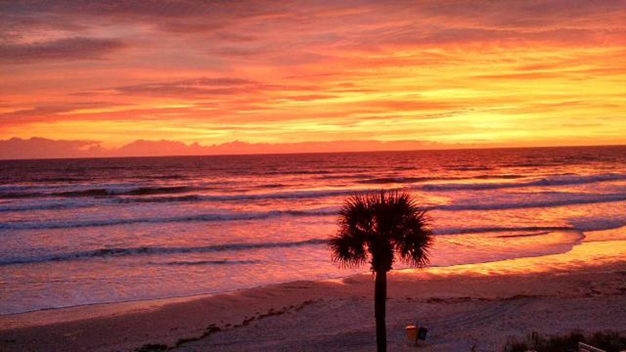 Photo of Others in Daytona Beach Shores