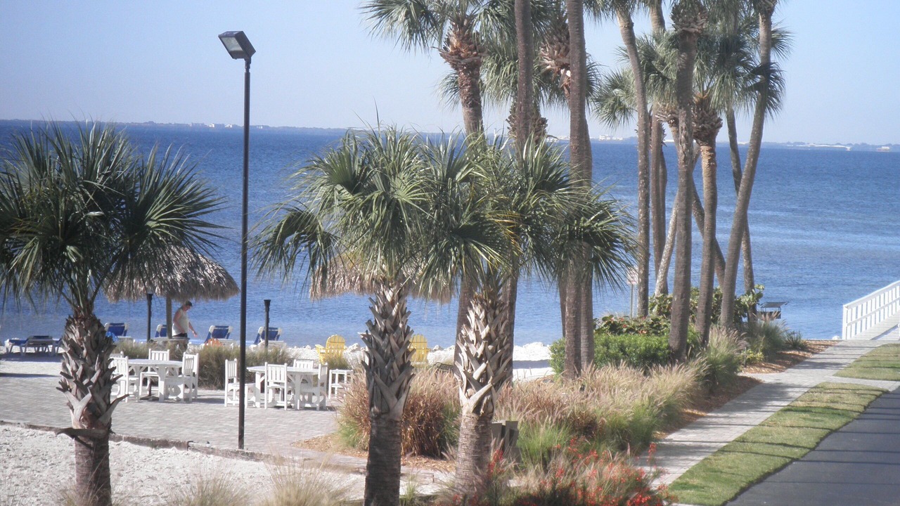 Photo of Others in Rocky Point