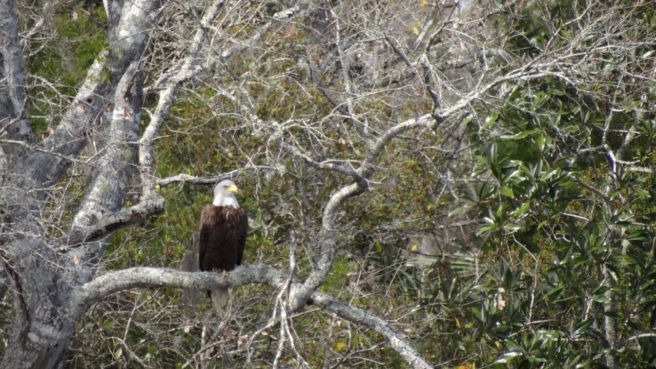 Photo of Outdoor in Lamont