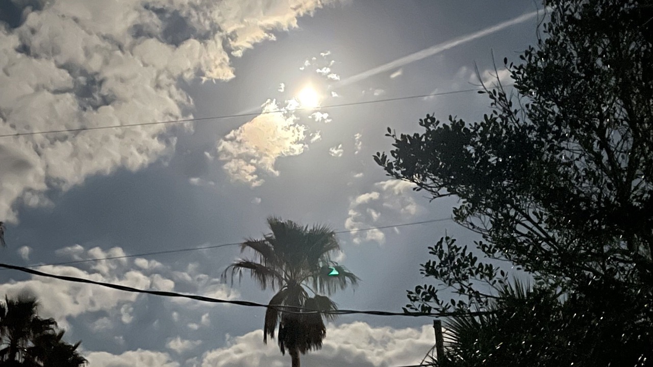 Photo of Others in Butler Beach
