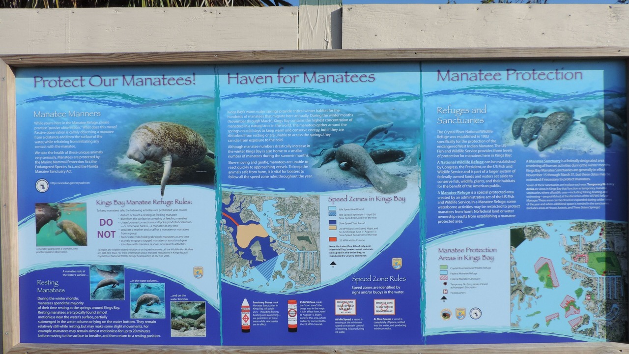 Photo of Others in Homosassa