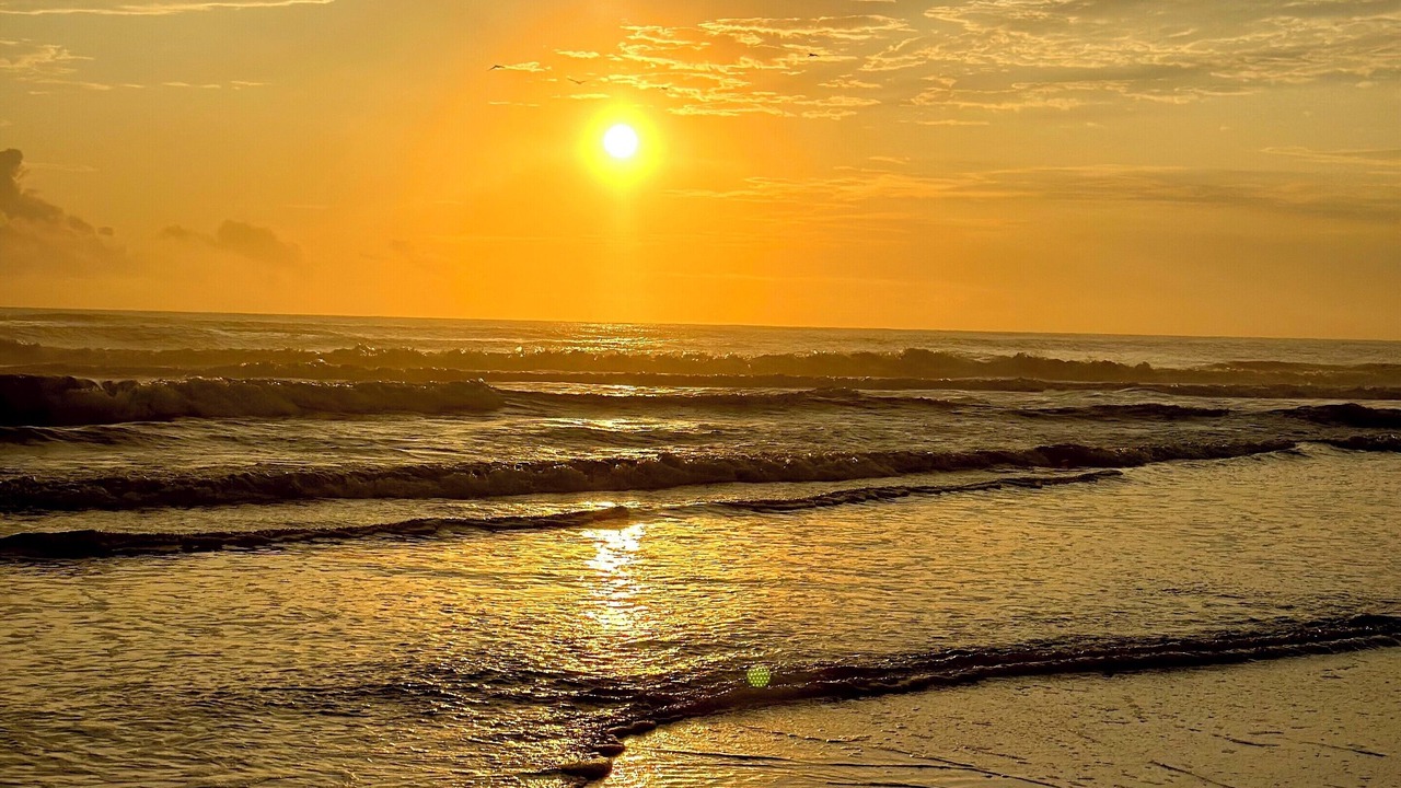 Photo of Others in Daytona Beach Shores