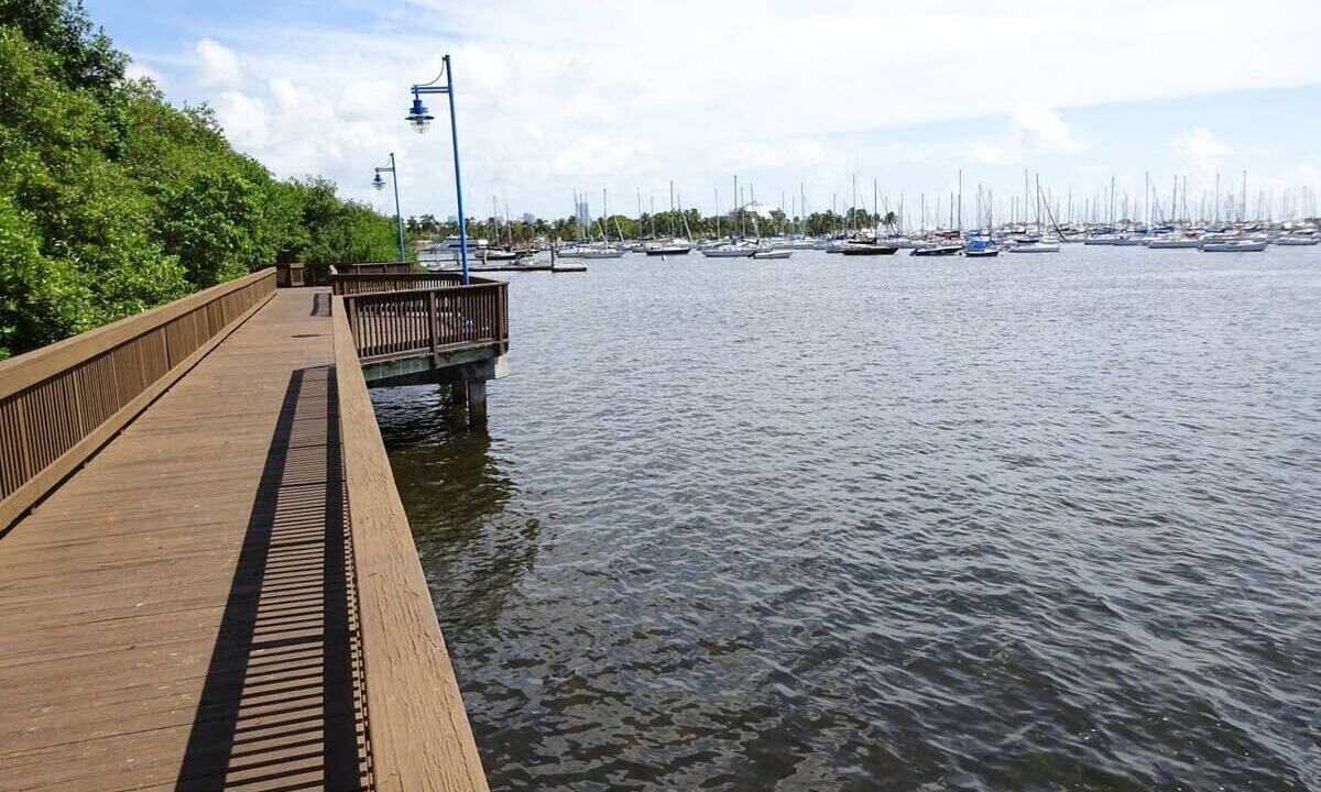 Photo of Others in Coconut Grove