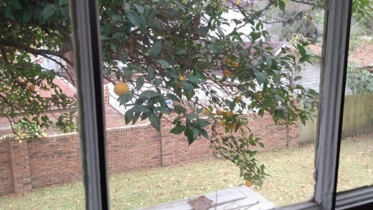 Photo of Others in Mobile