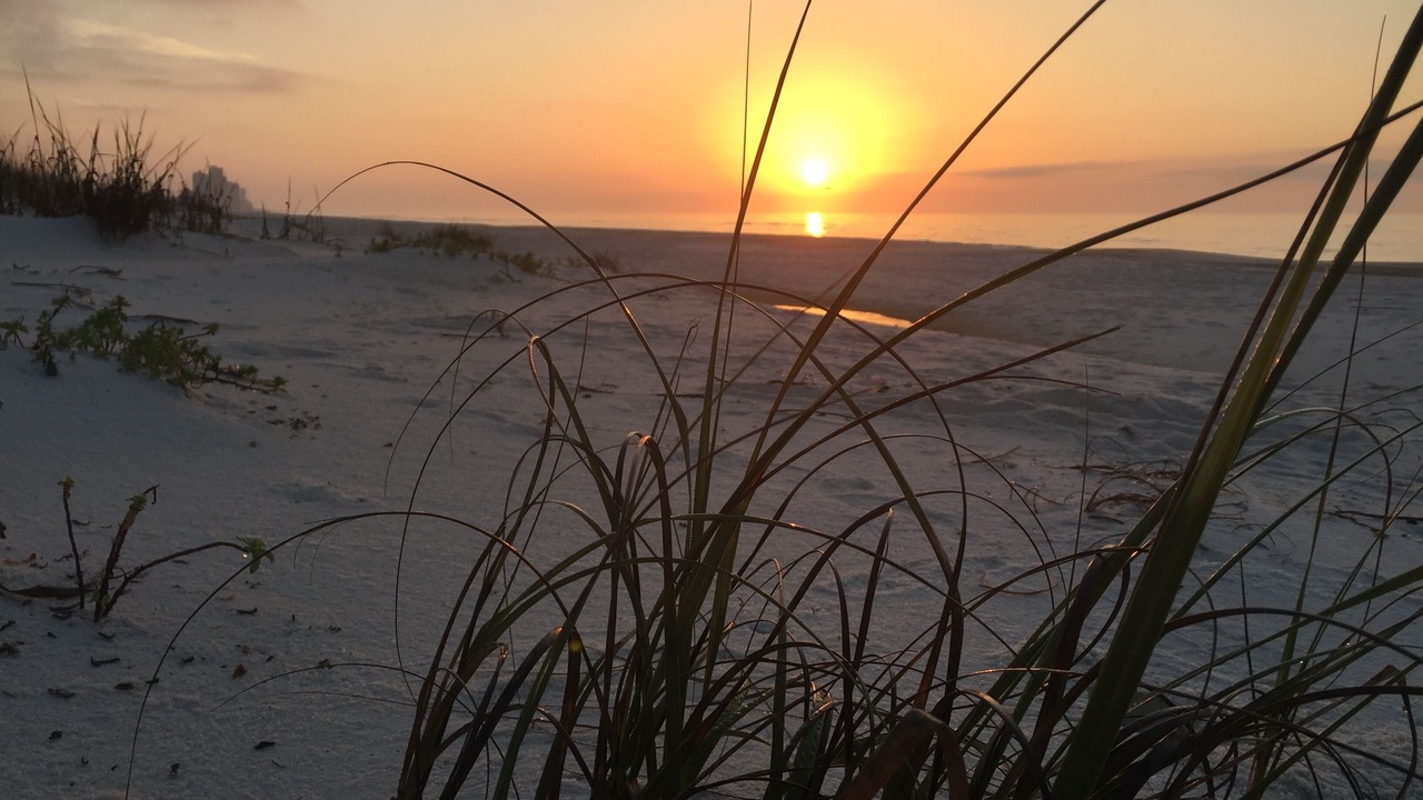 Photo of Others in Perdido Key Coves One