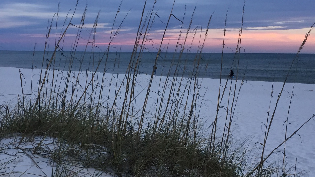 Photo of Others in Perdido Key Coves One