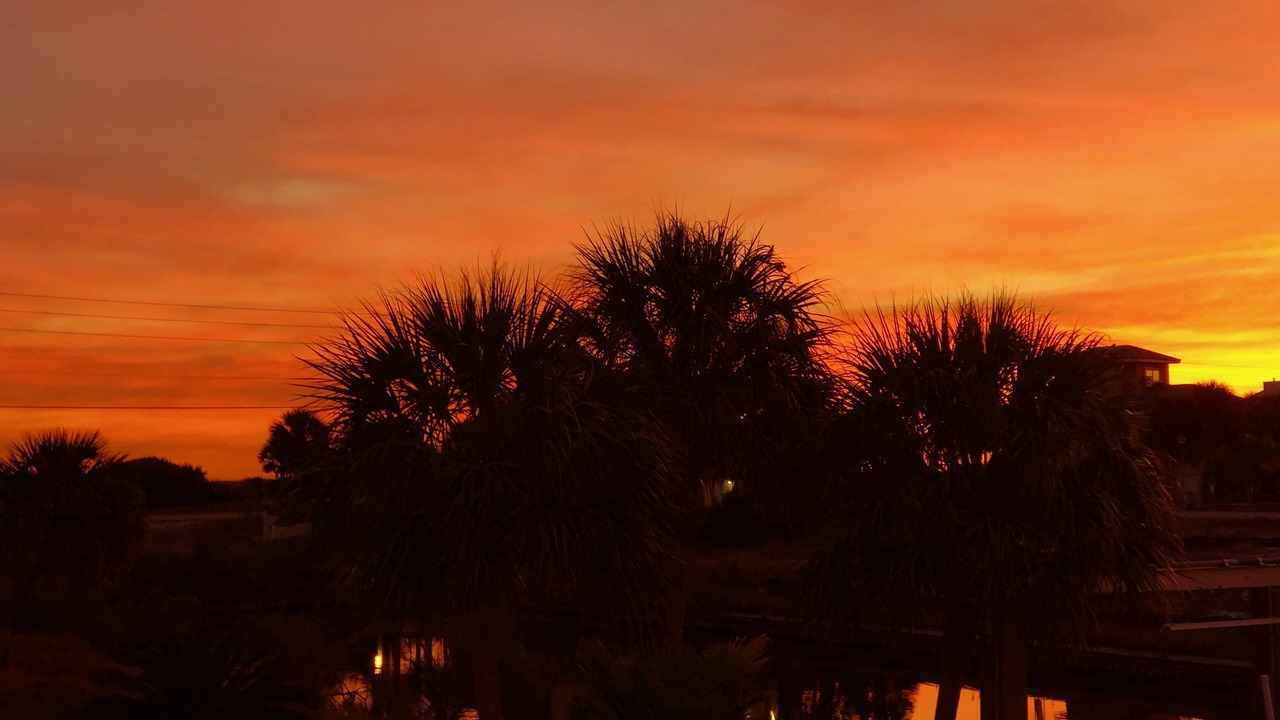 Photo of Others in Perdido Key Coves One