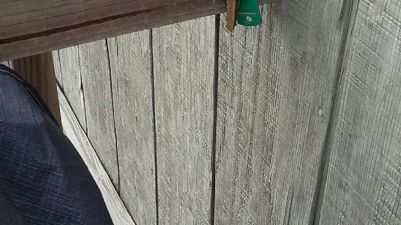 Photo of Outdoor in Salem