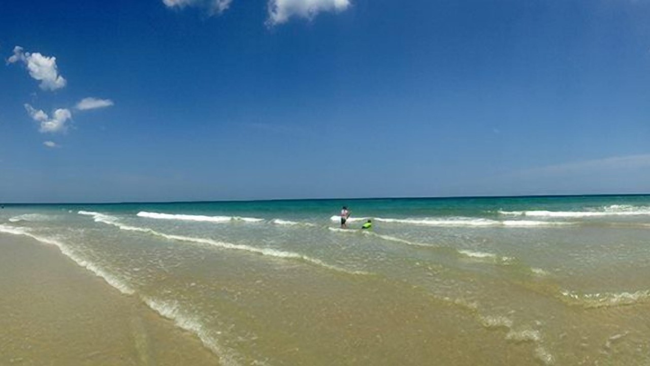 Photo of Others in Ormond-by-the-Sea