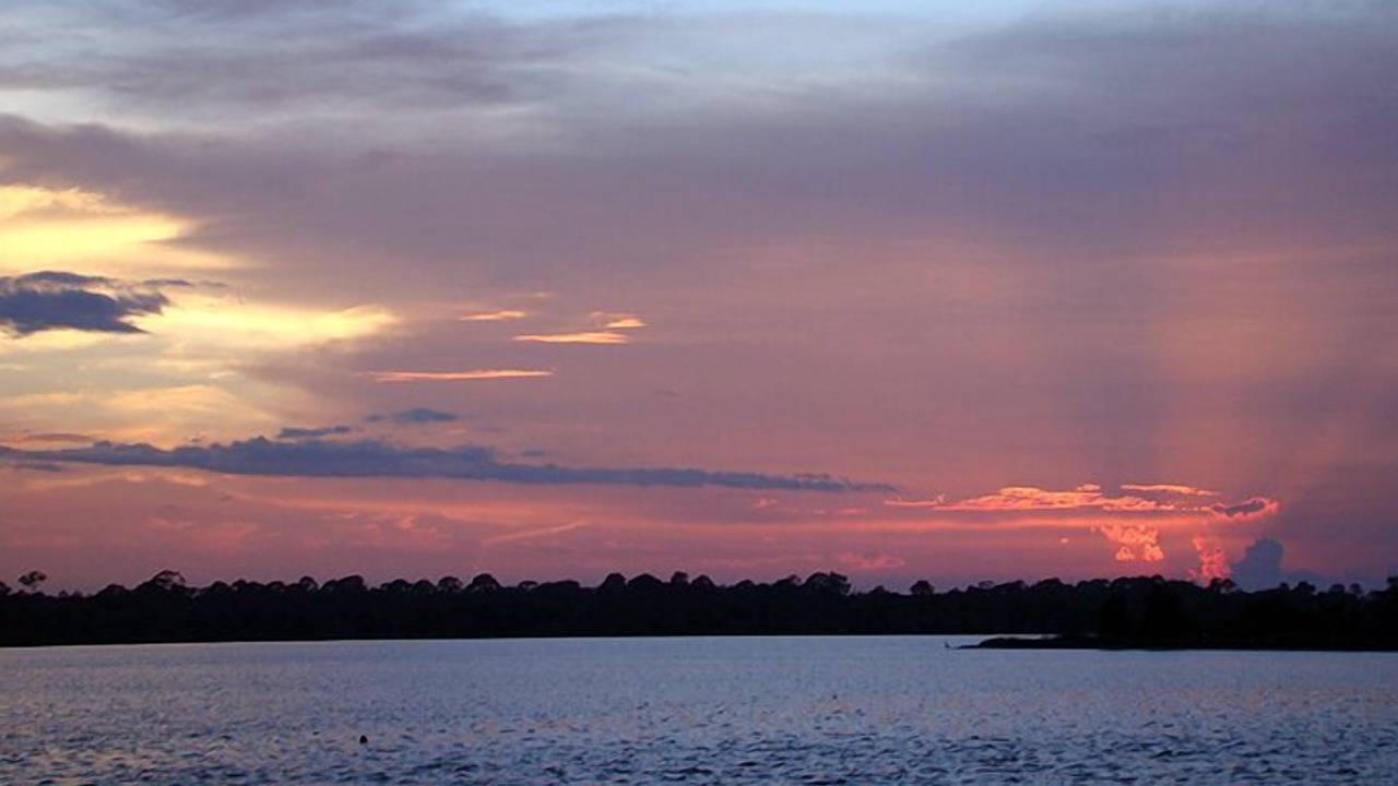 Photo of Others in Ormond-by-the-Sea