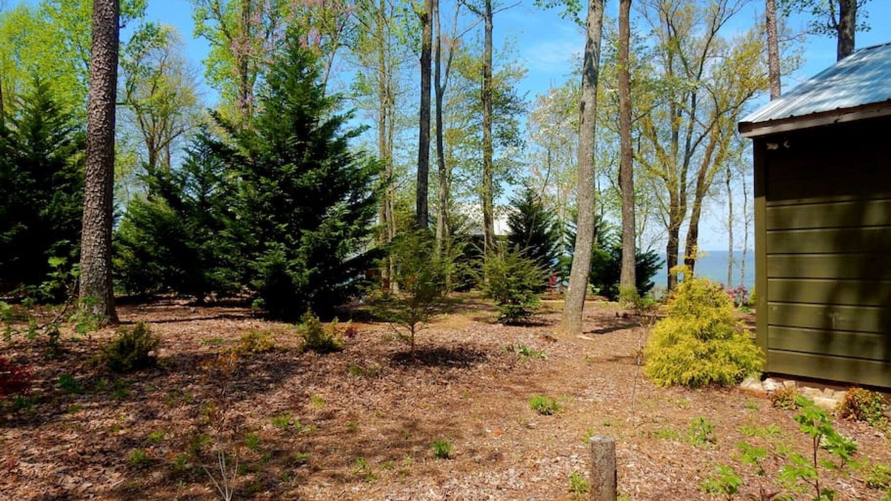 Photo of Others in Bryant