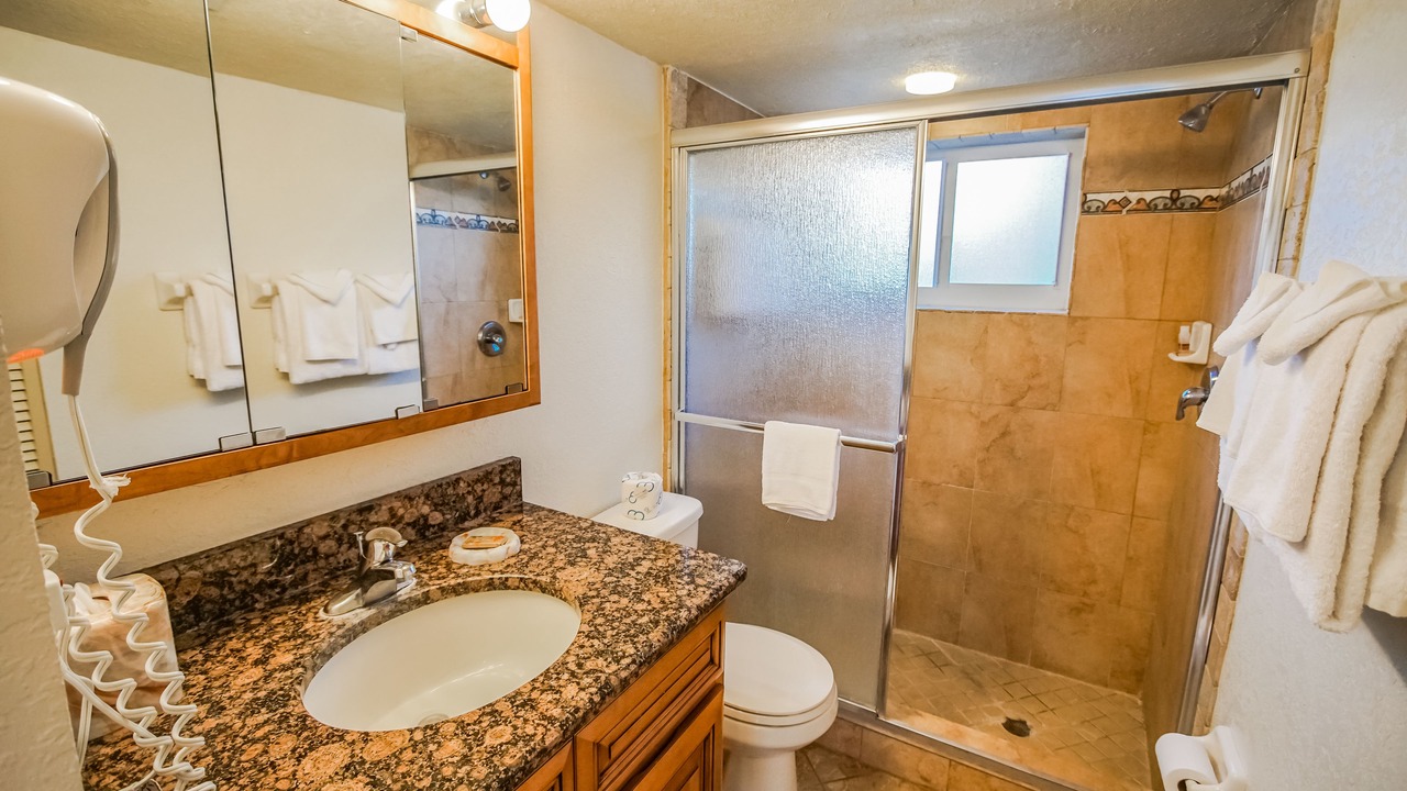 Photo of Bathroom in St. Pete Beach