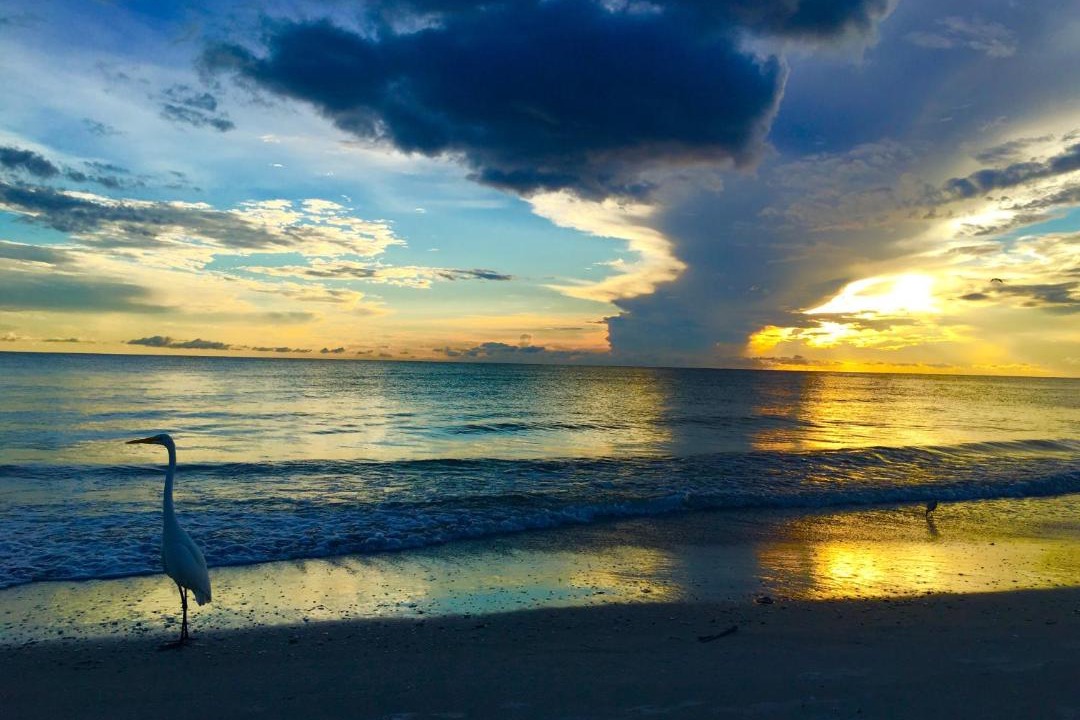 Photo of Others in Sunset Reef