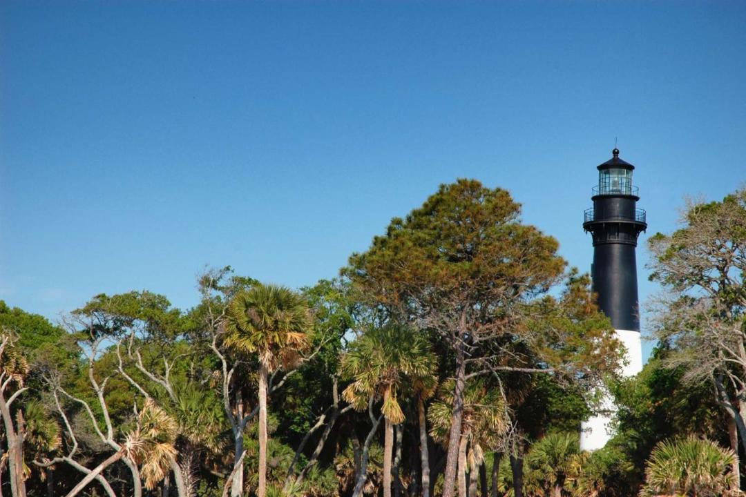 Photo of Others in Beaufort