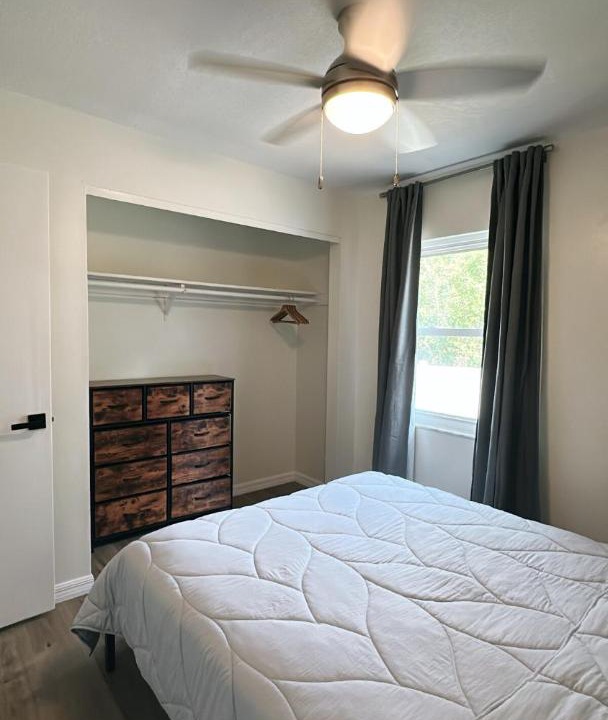 Photo of Bedroom in Port Tampa City