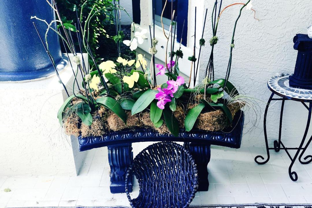 Photo of Patio Balcony in Port Saint Lucie