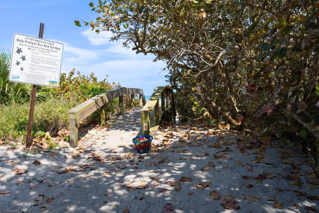 Photo of Others in Crescent Beach