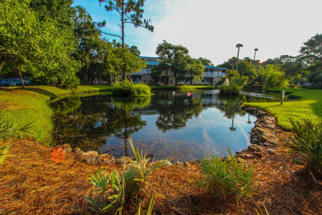 Photo of Others in Hilton Head Island