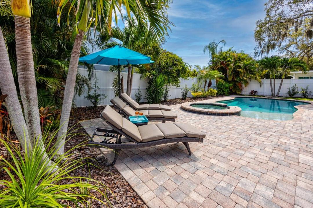 Photo of Others in Palm Harbor