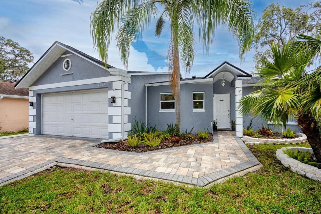 Photo of Others in Palm Harbor