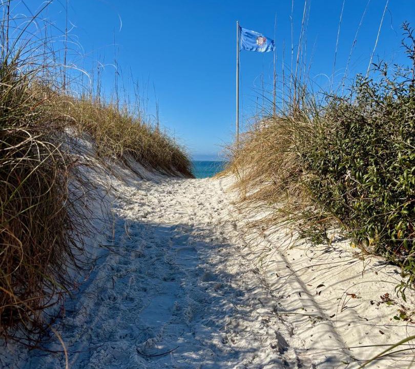 Photo of Others in Seagrass