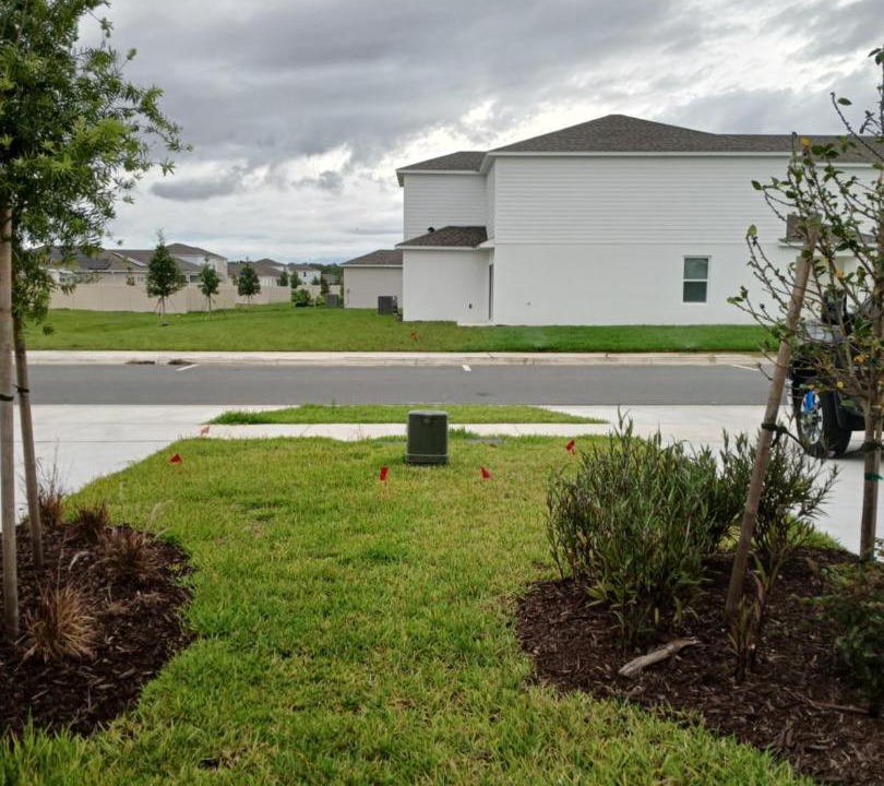Photo of Others in Poinciana