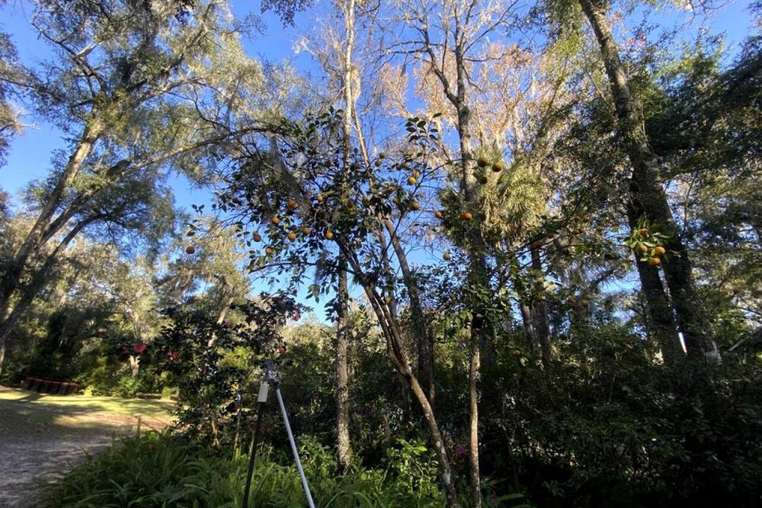 Photo of Others in Dunnellon