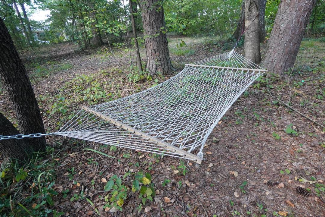 Photo of Outdoor in New Castle