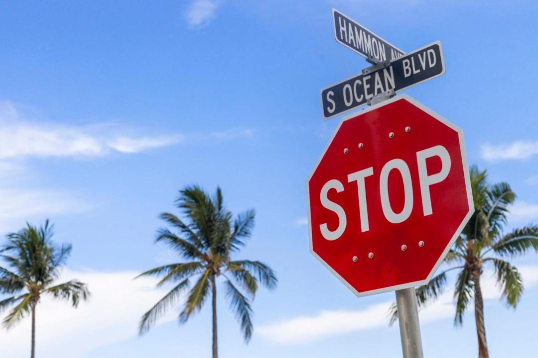 Photo of Others in Palm Beach