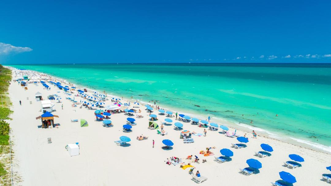 Photo of Others in South Beach
