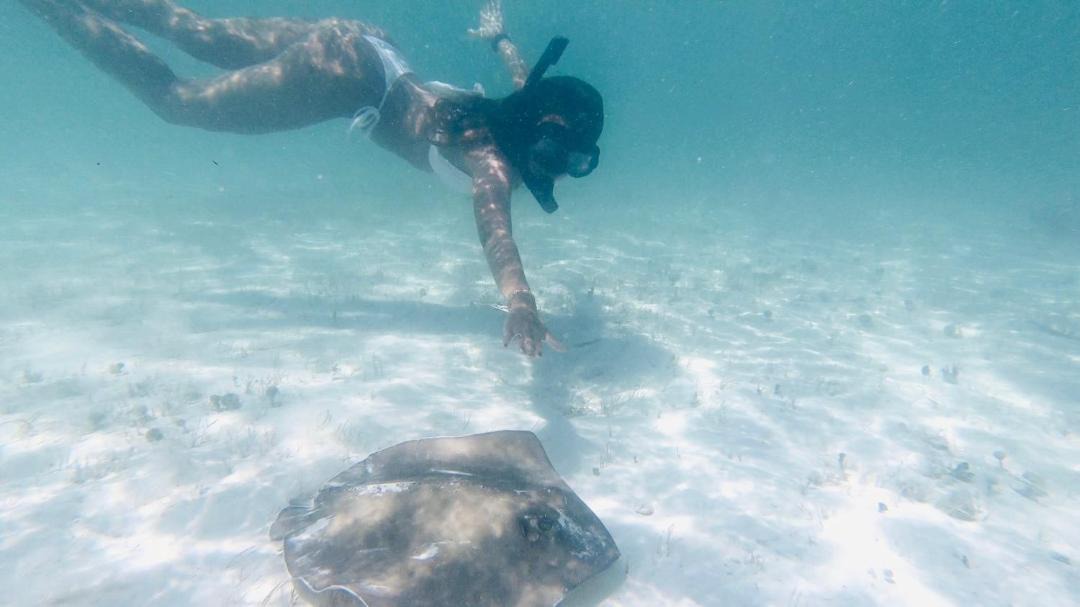 Photo of Human In Picture in Islamorada