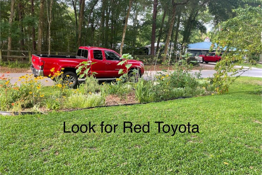 Photo of Outdoor in Ocala