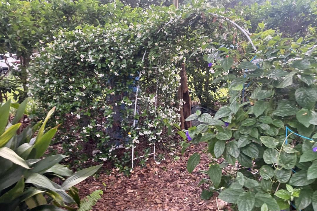 Photo of Outdoor in Ocala