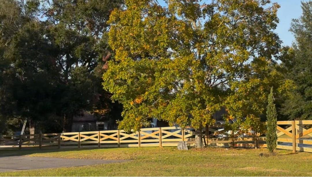 Photo of Others in Clermont