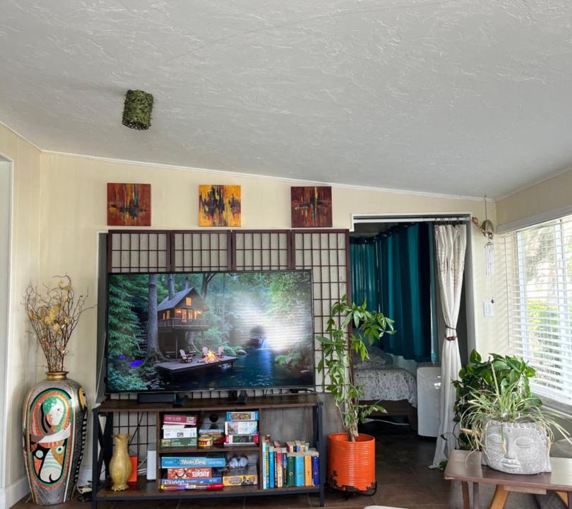 Photo of Livingroom in Lake Placid